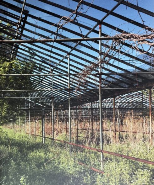 Books_Trace Elements_New Work at Oberlin